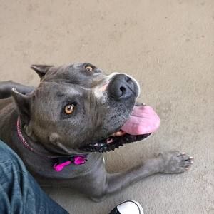 Meet your Posher, Todd